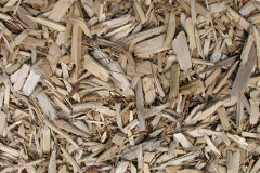 biomass boilers Michelcombe